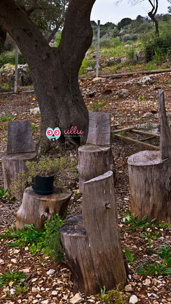 chat amongst olive oil trees, Villa Castelli, (Brindisi), Apulia, Italy
